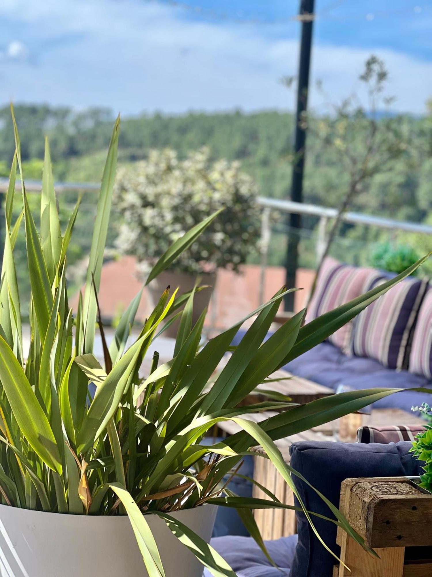 Faugeres  Domaine De Chalveches Hotel Spa 4* מראה חיצוני תמונה